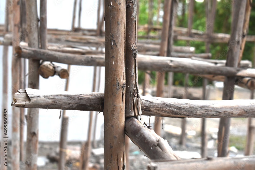 fence in the woods