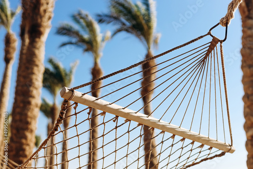 Hammock attached to palm trees, by the sea, on the background of palm trees