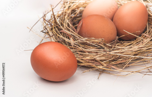 Close up eggs on white and nest. Organic food concept.