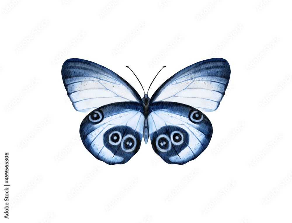Butterfly watercolour clip art for wedding invitation or greeting cards