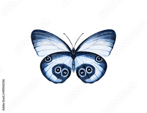 Butterfly watercolour clip art for wedding invitation or greeting cards