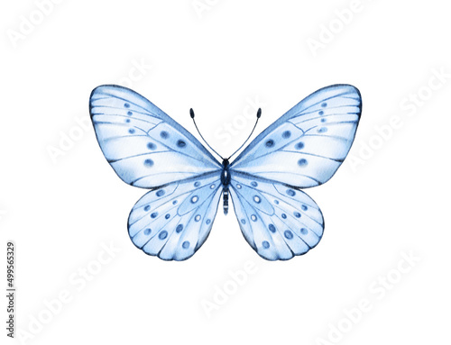 Butterfly watercolour clip art for wedding invitation or greeting cards