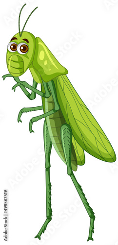 A grasshopper cartoon character isolated