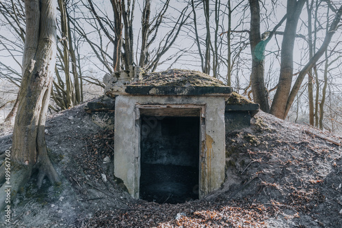 Фотография old bunker in the forest