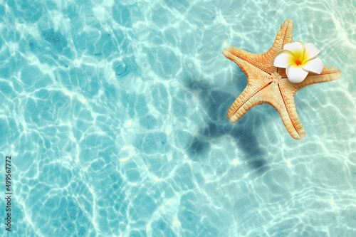 Starfish and flower on the summer beach in sea water. Summer background.