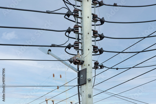 Birds nest on electric poles.