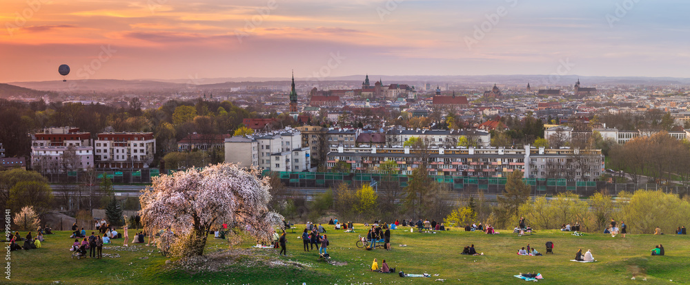 Widok na Kraków, panorama miasta z Kopca Krakusa, kwitnące drzewo śliwki - obrazy, fototapety, plakaty 