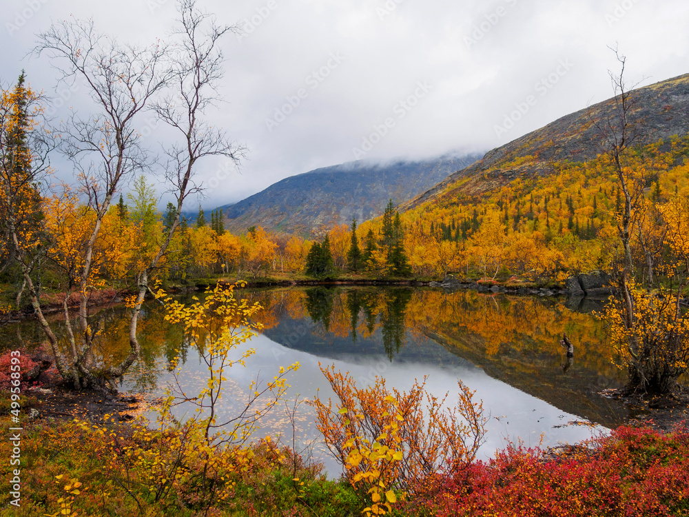 Autumn colorful tundra on the background mountain peaks in cloudy weather. Mountain landscape in Kola Peninsula, Arctic, Khibiny Mountains. Autumn colorful tundra on the background mountain peaks in cloudy weather. Mountain landscape in Kola Peninsula, Arctic, Khibiny Mountains.