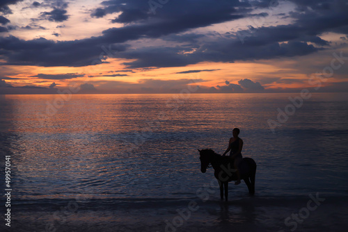 Horse ride at the sunrise