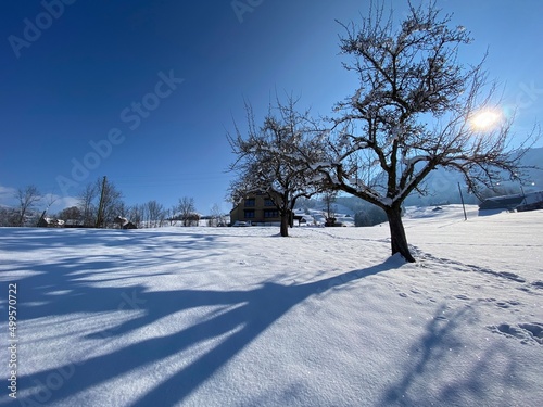 A magical play of sunlight and shadow during the alpine winter on the snowy slopes of the Churfirsten mountain range in the Obertoggenburg region, Nesslau - Switzerland / Schweiz © Mario