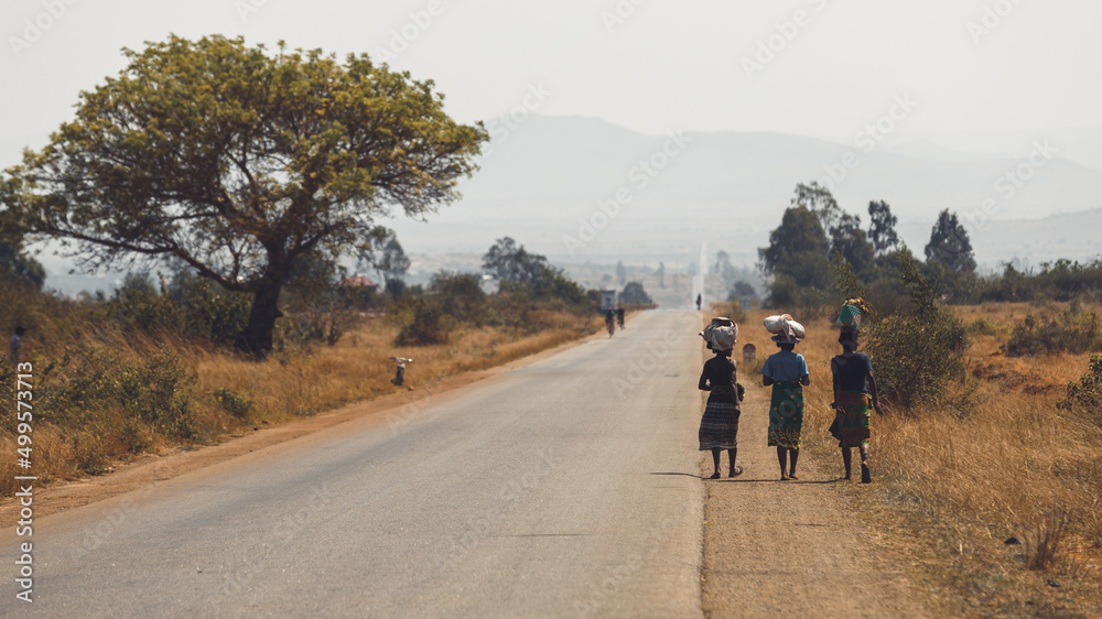 Road National 7 in the south of Madagascar, african landscape with women walking while carrying food on their head. Desertic and arid landscape Road National 7 in the south of Madagascar, african landscape with women walking while carrying food on their head. Desertic and arid landscape