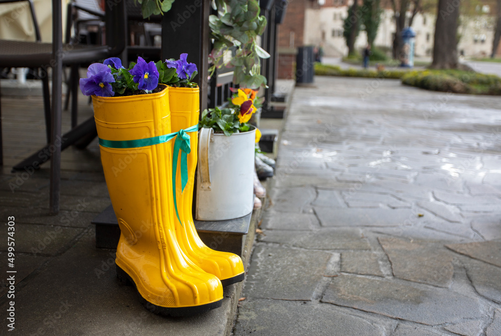 colorful family rain boots with pansy flowers on a rainy day outdoors, horizontal