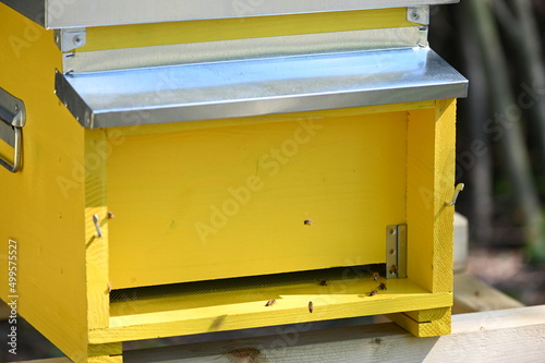 A bee hive in the pollination period