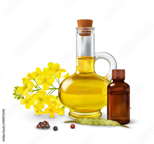 Rape Canola Concept