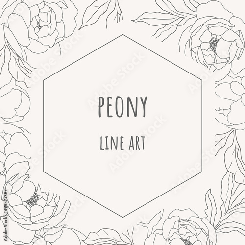 doodle line art peony flower circle wreath frame minimal square banner background