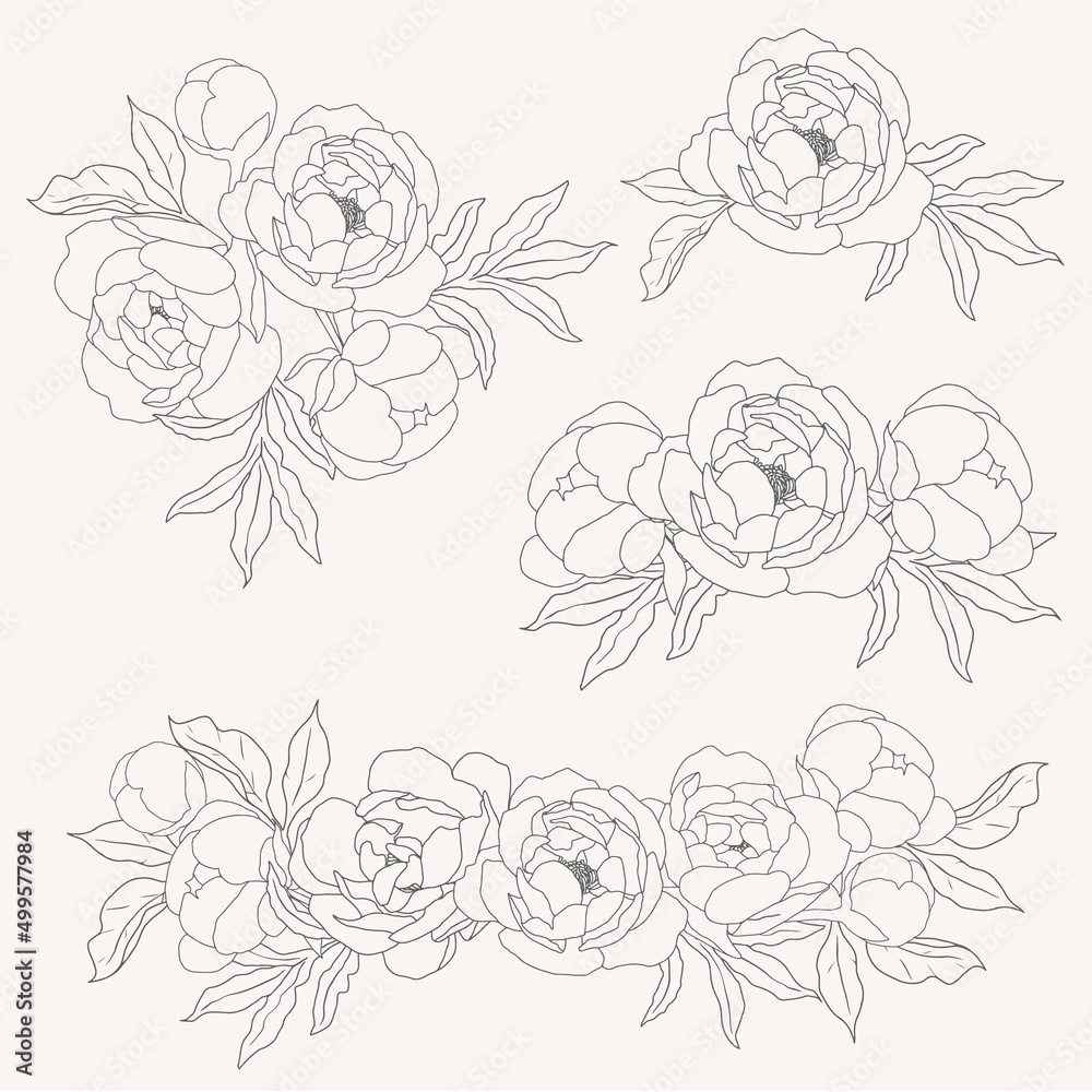 doodle line art peony flower bouquet elements collection
