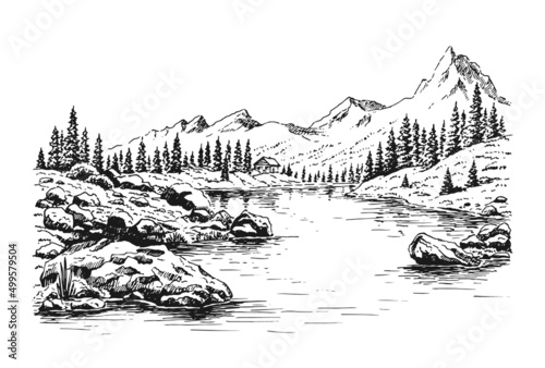 Mountain with pine trees and lake landscape. Hand drawn illustration converted to vector.