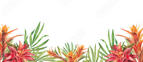 Horizontal border with tropical red flowers, green leaves, bromelia. Watercolor isolated pattern on white background, panoramic illustration summer tropics. Design website, greeting card,pack holiday