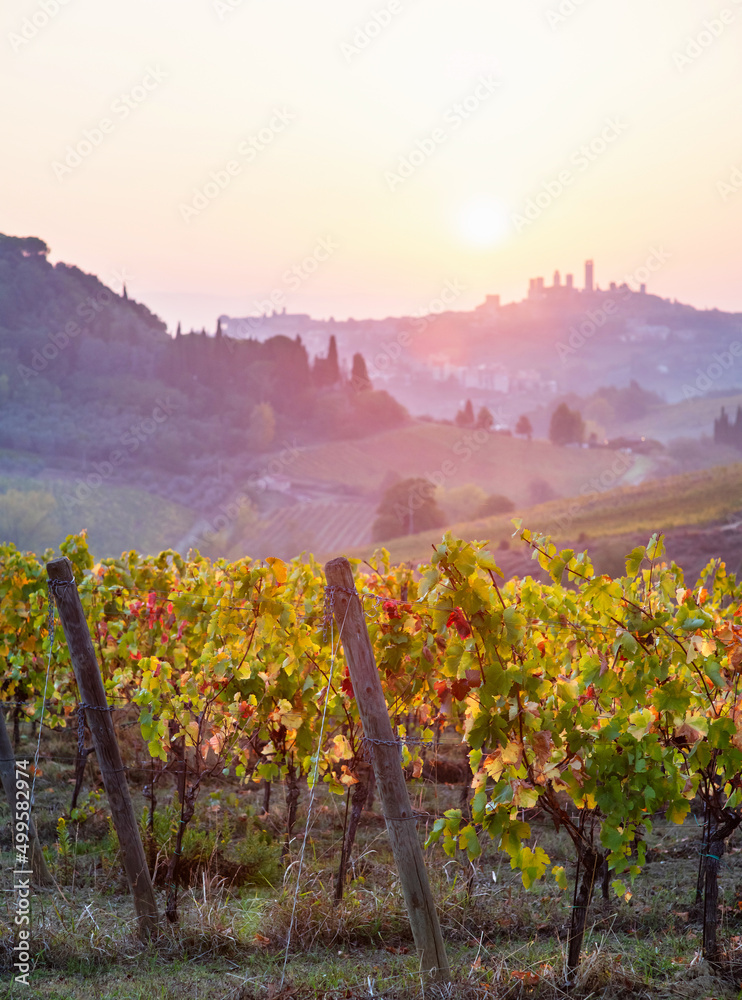 Beautiful valley in Tuscany, Italy. Vineyards and landscape with San Gimignano town at the background.