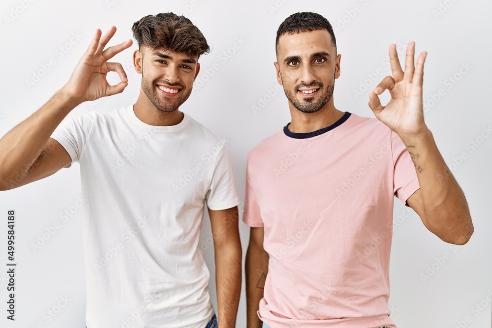 Young gay couple standing over isolated background smiling positive doing ok sign with hand and fingers. successful expression. Young gay couple standing over isolated background smiling positive doing ok sign with hand and fingers. successful expression.
