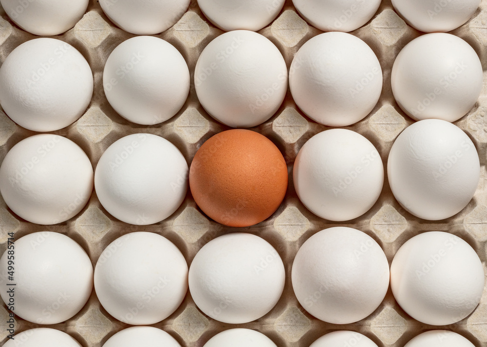 Fragment of a tray with brown and white chicken eggs. Fragment of a tray with brown and white chicken eggs.