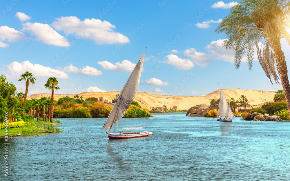 Traditional view of Aswan, the sailboats in the Nile behind the palm, Egypt, Africa