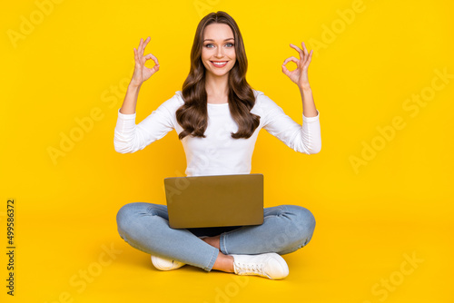 Photo of reliable lady sit floor hold netbook show okey symbols wear white shirt isolated yellow color background © deagreez