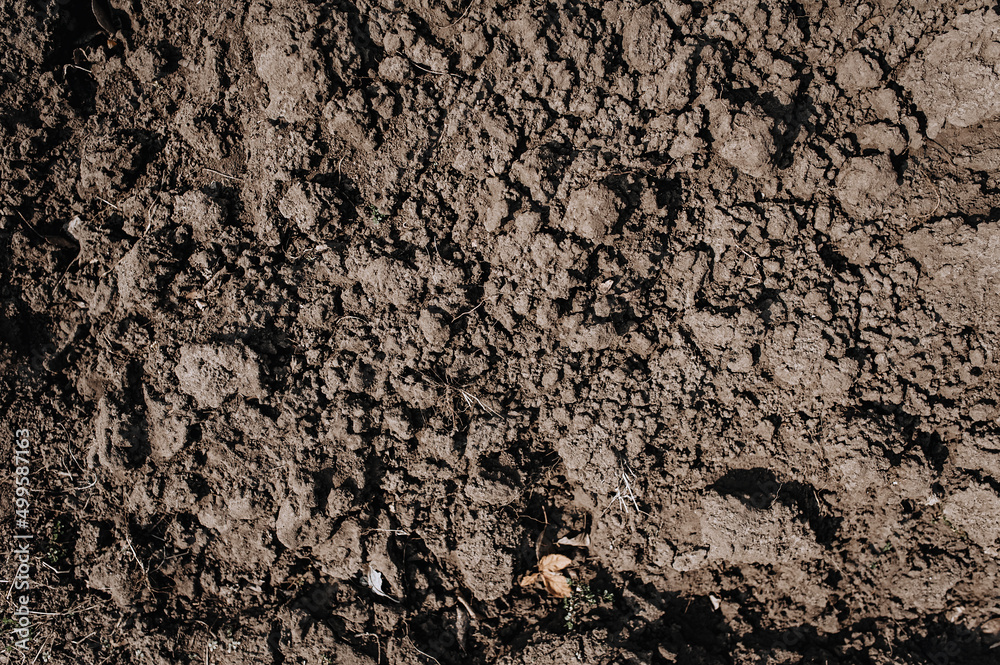 Background of dug up earth, soil. Chernozem, top view. Background of dug up earth, soil. Chernozem, top view.