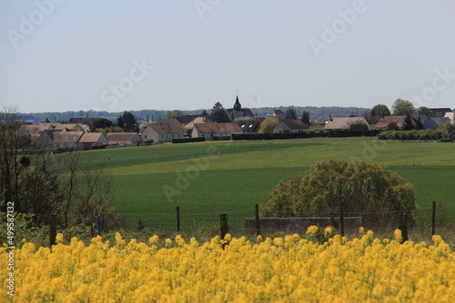 Villerable et les colzas