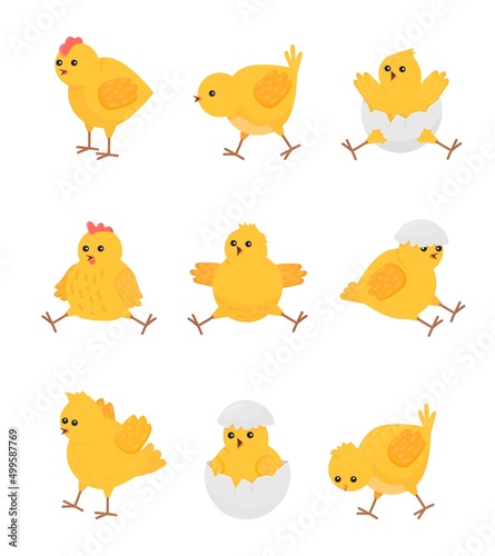 Cute yellow chicks. Cartoon chick bird, isolated baby chicken. Little farm animal in break egg, easter symbol. Flat rustic decent vector characters