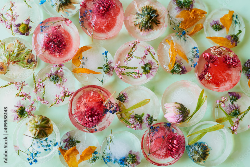 For a pretty element on a summer table. Studio shot of flowers frozen into ice blocks. For a pretty element on a summer table. Studio shot of flowers frozen into ice blocks.