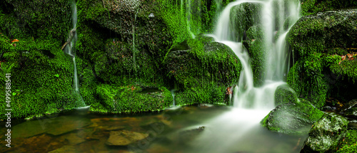Grüner Wasserfall im Wald