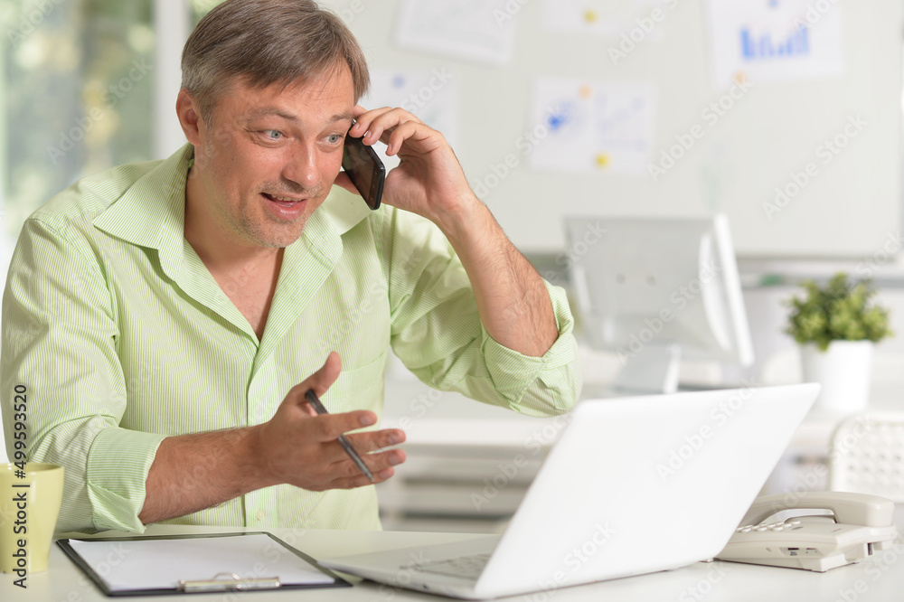 Fototapeta premium Mature businessman talking on phone while working with laptop