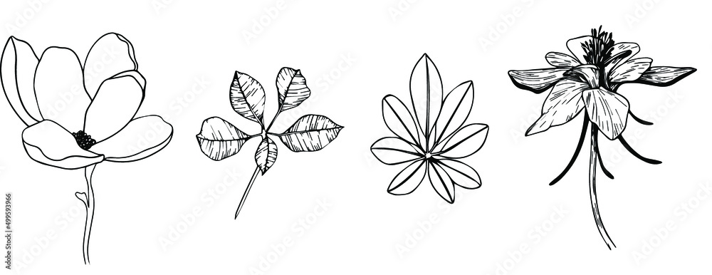 Line art branch. Leaves on a branch line. black and white flowers and leaves - obrazy, fototapety, plakaty 