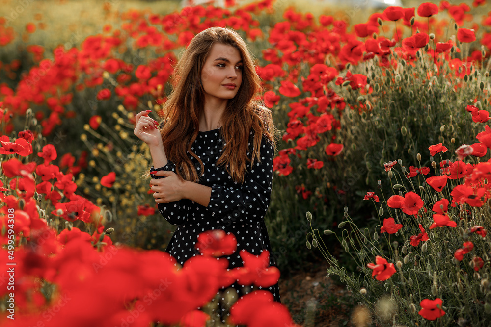 Naklejka premium Young beautiful woman with long hair in a poppy field
