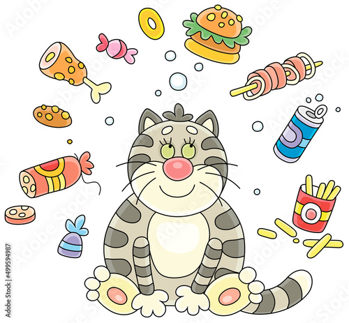 Funny plump cat glutton friendly smiling and dreaming of various tasty things, vector cartoon illustration isolated on a white background