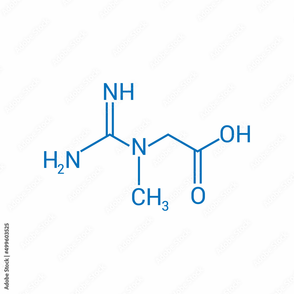 chemical structure of creatine (C4H9N3O2) chemical structure of creatine (C4H9N3O2)