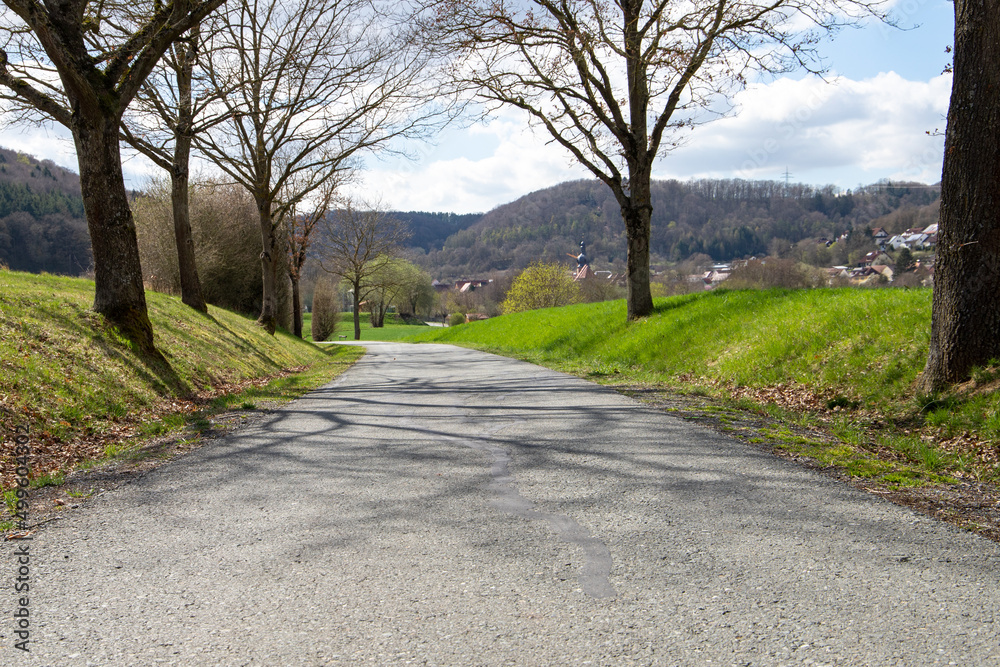 path in the park, spring