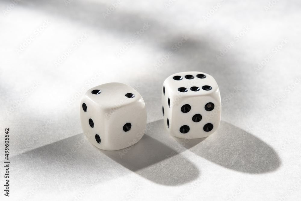 White Dice on a White Background with Harsh Shadows White Dice on a White Background with Harsh Shadows