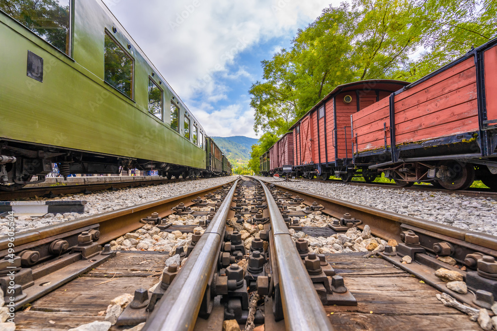 View to a railway track between trees and trains View to a railway track between trees and trains