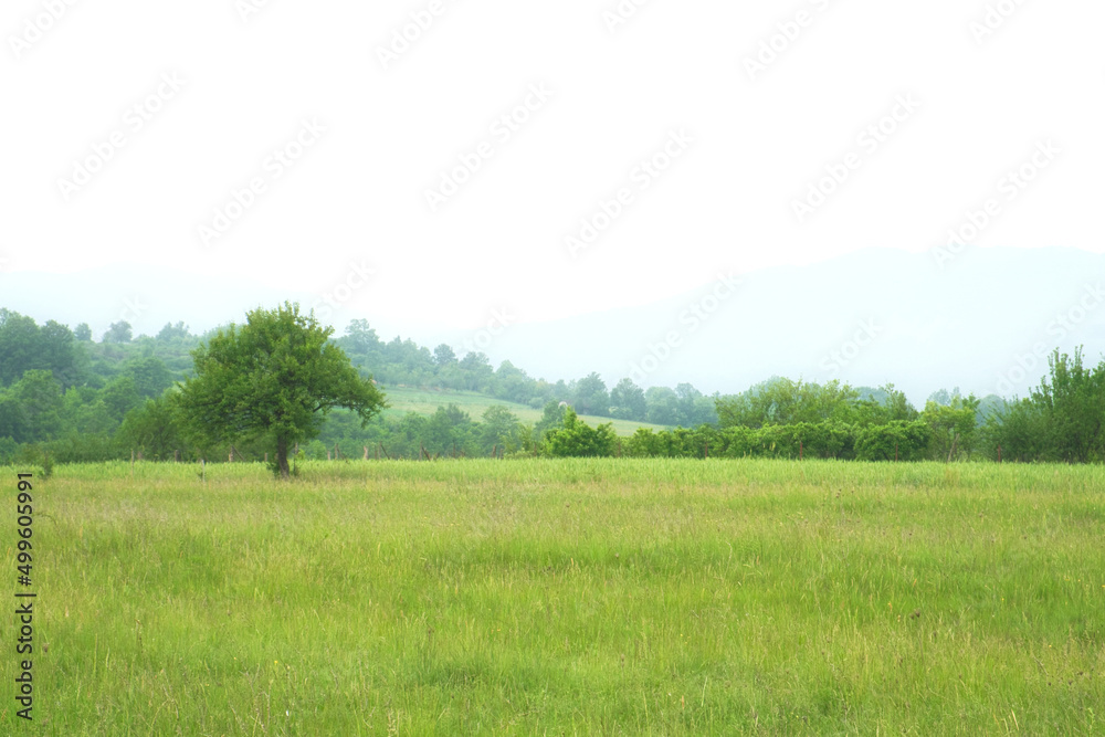 Morning mist in the mountain valley of mount Rtanj, Eastern Serbia - landscape with trees and sky