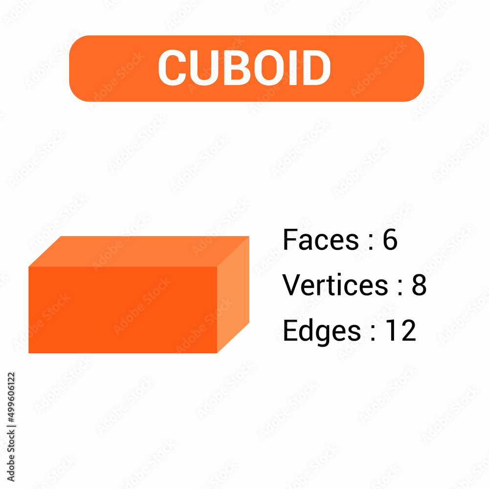 properties of cuboid shape in mathematics Stock Vector Adobe Stock