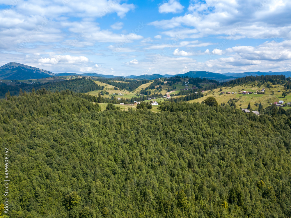 Naklejka premium Green mountains of Ukrainian Carpathians in summer. Coniferous trees on the slopes. Aerial drone view.