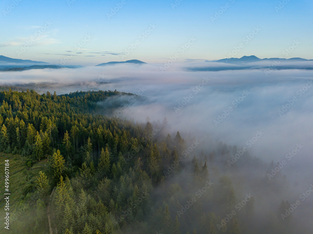 Foggy summer morning in the Ukrainian Carpathians. Aerial drone view.