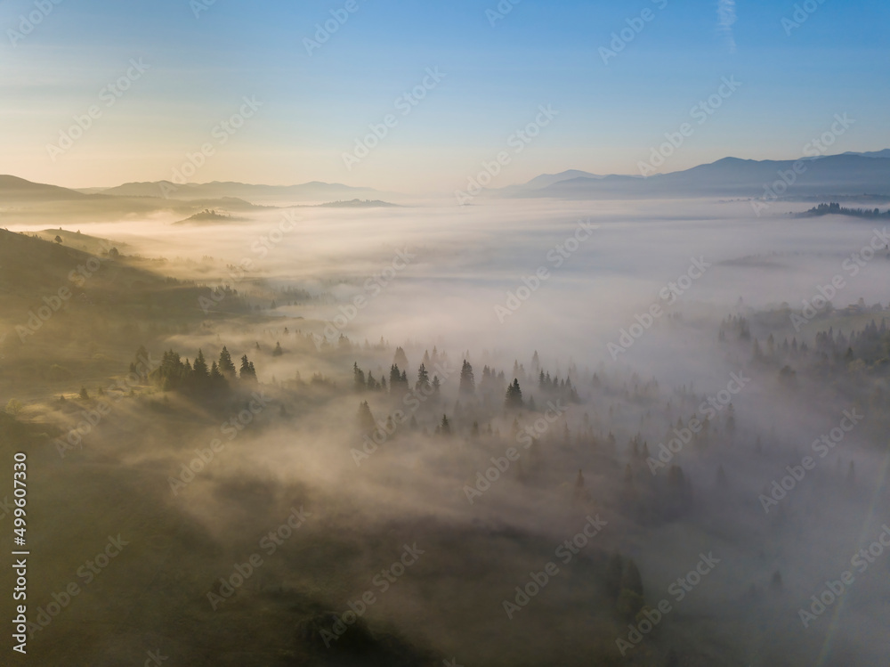 Fototapeta premium Morning fog in the Ukrainian Carpathians. Aerial drone view.