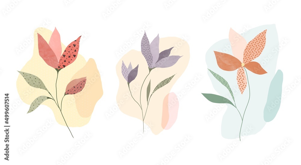 Set of illustrations of delicate abstract flowers