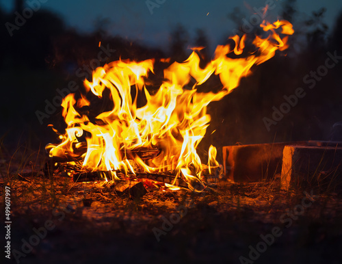 high flame of a bonfire. Fire in night