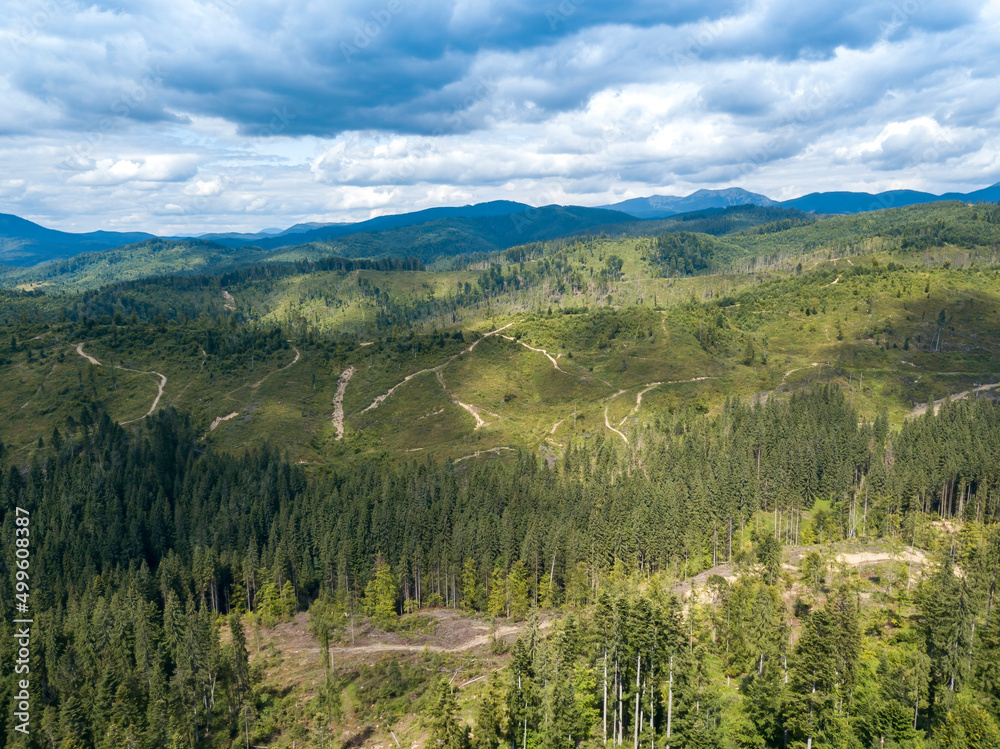 Green mountains of Ukrainian Carpathians in summer. Coniferous trees on the slopes. Aerial drone view.