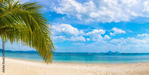 Fototapeta Naklejka Na Ścianę i Meble -  Palm tree branch over beach