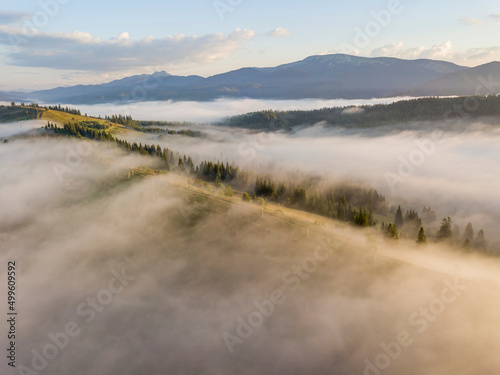 Sunny morning in the foggy Carpathians. A thick layer of fog covers the mountains. Aerial drone view.